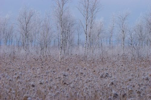 Kalejdoskop Magii Podlasia / fot. Paweł Tadejko