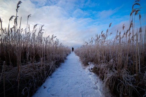 Kalejdoskop Magii Podlasia / fot. Paweł Tadejko