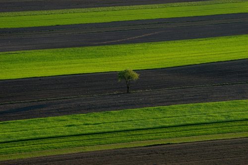 Kalejdoskop Magii Podlasia / fot. Paweł Tadejko