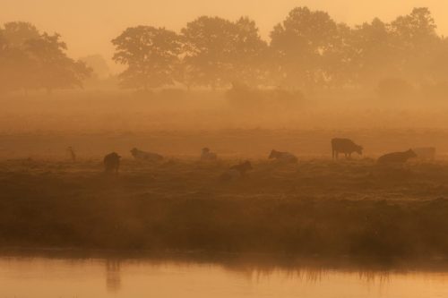Kalejdoskop Magii Podlasia / fot. Paweł Tadejko