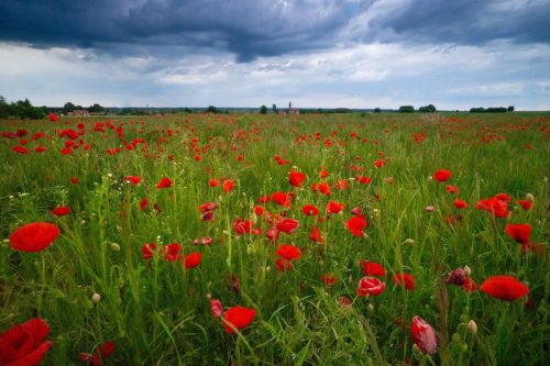 Kalejdoskop Magii Podlasia / fot. Paweł Tadejko