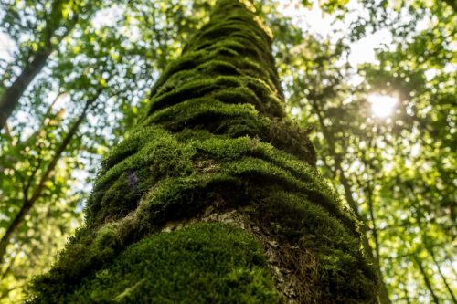 Kalejdoskop Magii Podlasia / fot. Paweł Tadejko