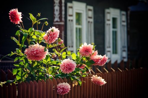 Kalejdoskop Magii Podlasia / fot. Paweł Tadejko