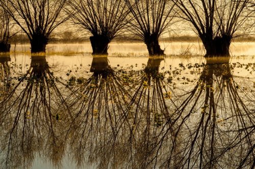 Kalejdoskop Magii Podlasia / fot. Paweł Tadejko