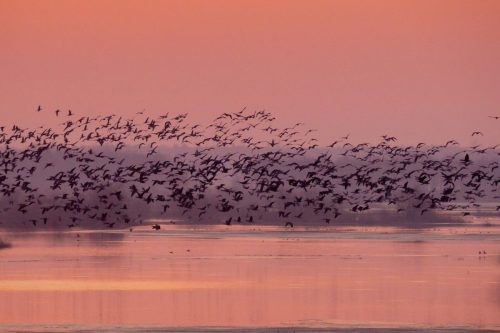 Kalejdoskop Magii Podlasia / fot. Paweł Tadejko