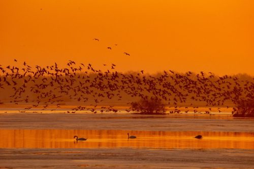 Kalejdoskop Magii Podlasia / fot. Paweł Tadejko