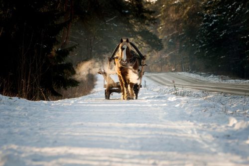 Kalejdoskop Magii Podlasia / fot. Paweł Tadejko