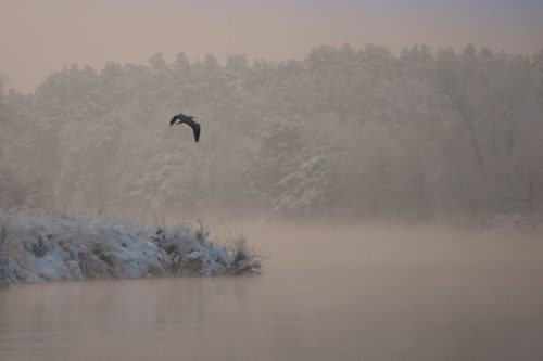 Kalejdoskop Magii Podlasia / fot. Paweł Tadejko