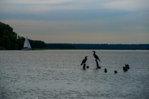 Kalejdoskop Magii Podlasia / fot. Paweł Tadejko