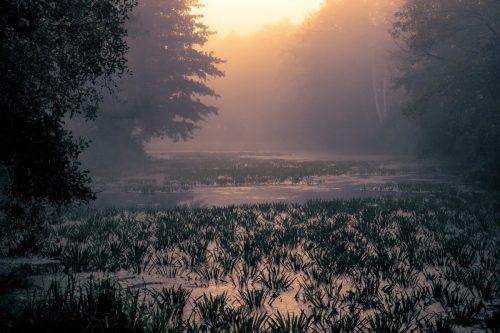 Kalejdoskop Magii Podlasia / fot. Paweł Tadejko