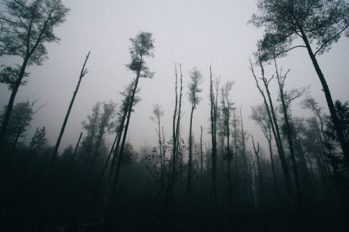 Kalejdoskop Magii Podlasia / fot. Paweł Tadejko