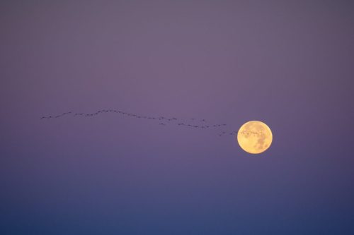 Kalejdoskop Magii Podlasia / fot. Paweł Tadejko