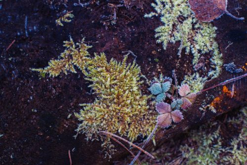 Kalejdoskop Magii Podlasia / fot. Paweł Tadejko
