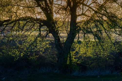 Kalejdoskop Magii Podlasia / fot. Paweł Tadejko