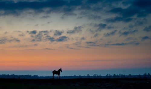Kalejdoskop Magii Podlasia / fot. Paweł Tadejko