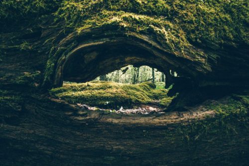 Kalejdoskop Magii Podlasia / fot. Paweł Tadejko