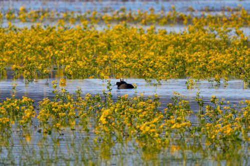 Kalejdoskop Magii Podlasia / fot. Paweł Tadejko