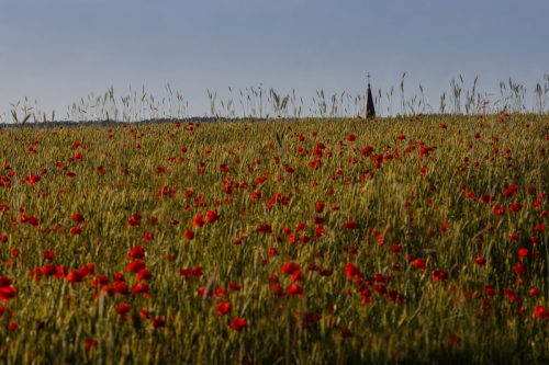 Kalejdoskop Magii Podlasia / fot. Paweł Tadejko