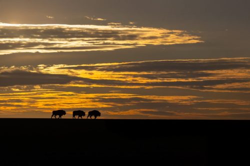 Kalejdoskop Magii Podlasia / fot. Paweł Tadejko