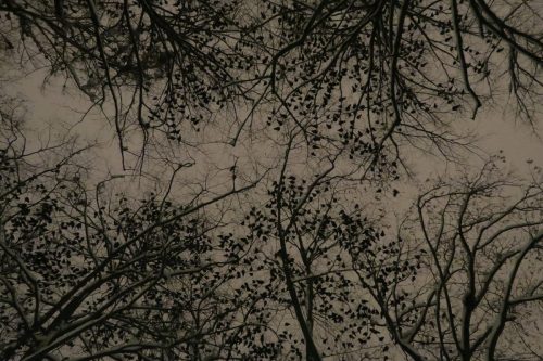 Kalejdoskop Magii Podlasia / fot. Paweł Tadejko